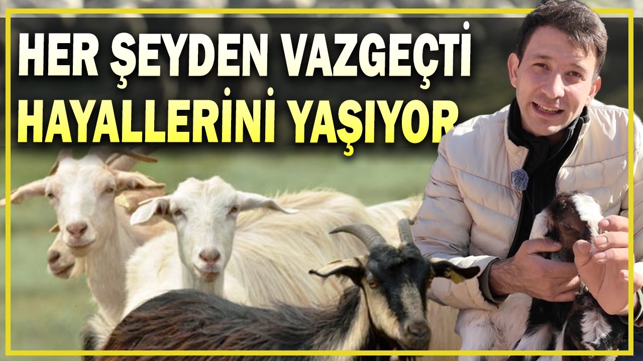 Devleti Bıraktı, Hayvancılığa Başladı! Emirdağlı Gencin Başarı Hikayesi
