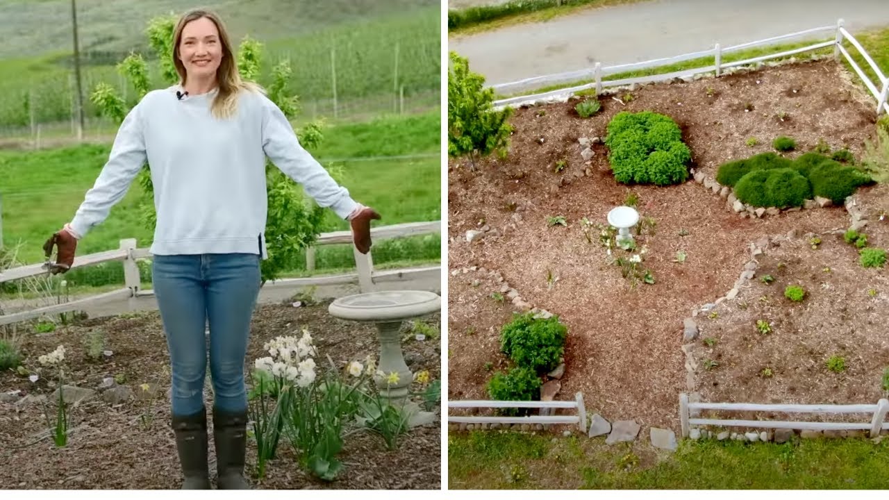 It's Time To Grow A MEDICINAL Herb Garden | Home Apothecary