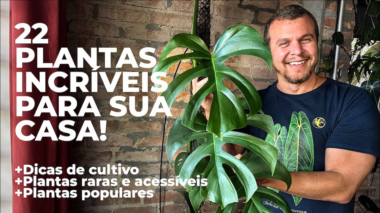 22 PLANTAS para sua CASA: saiba tudo com DICAS de CULTIVO sobre plantas raras ou comuns.