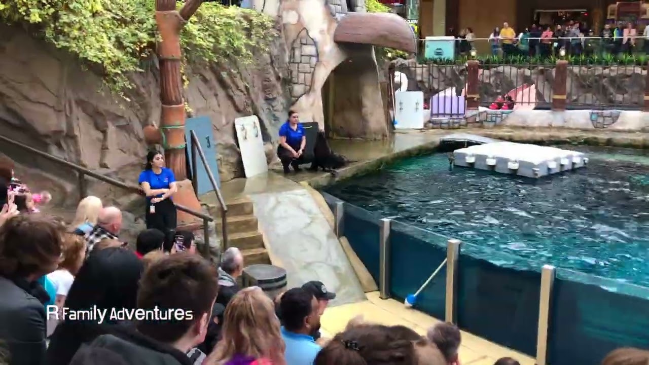 Sea Lion Show at West Edmonton Mall