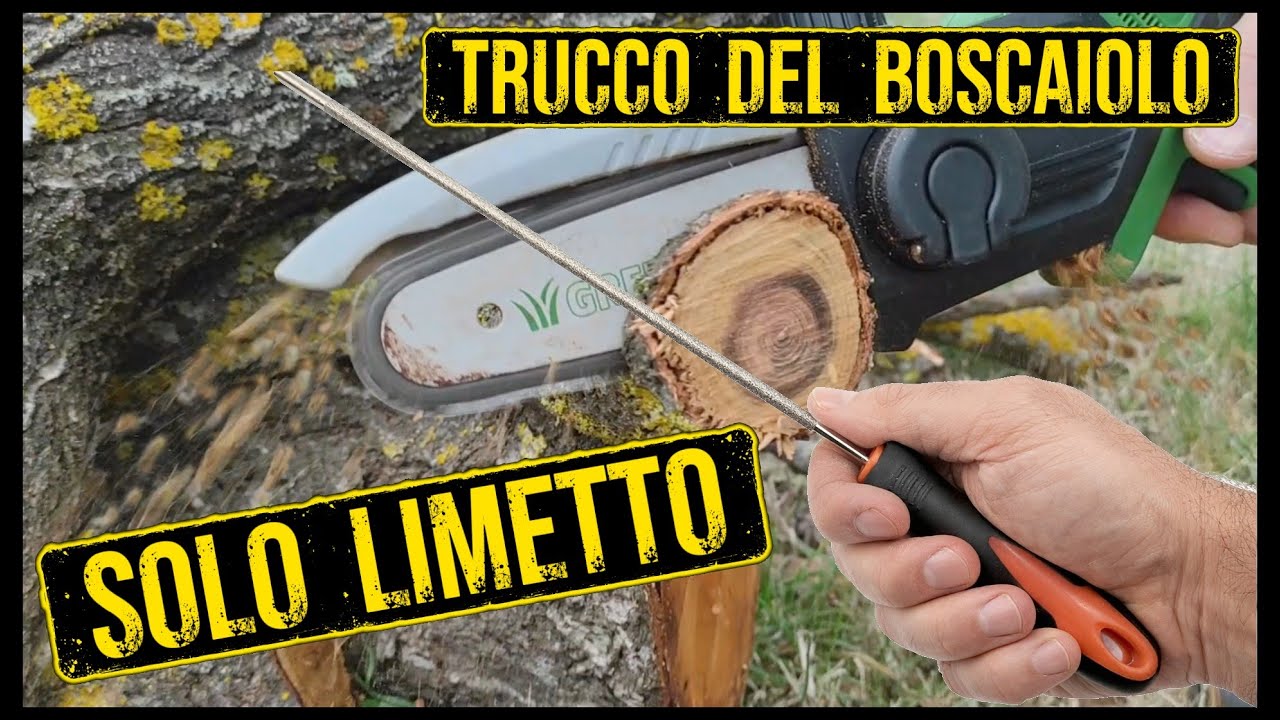 Come affilare la lama della motosega nel bosco, senza banco, senza corrente ... SOLO LIMETTO