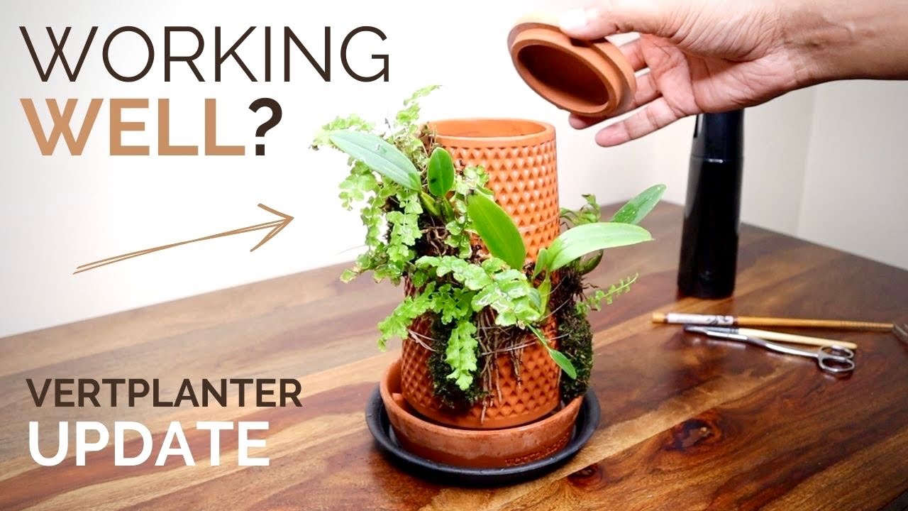 Is the hydroponic terraplanter working well? (Vertplanter 3 month update)