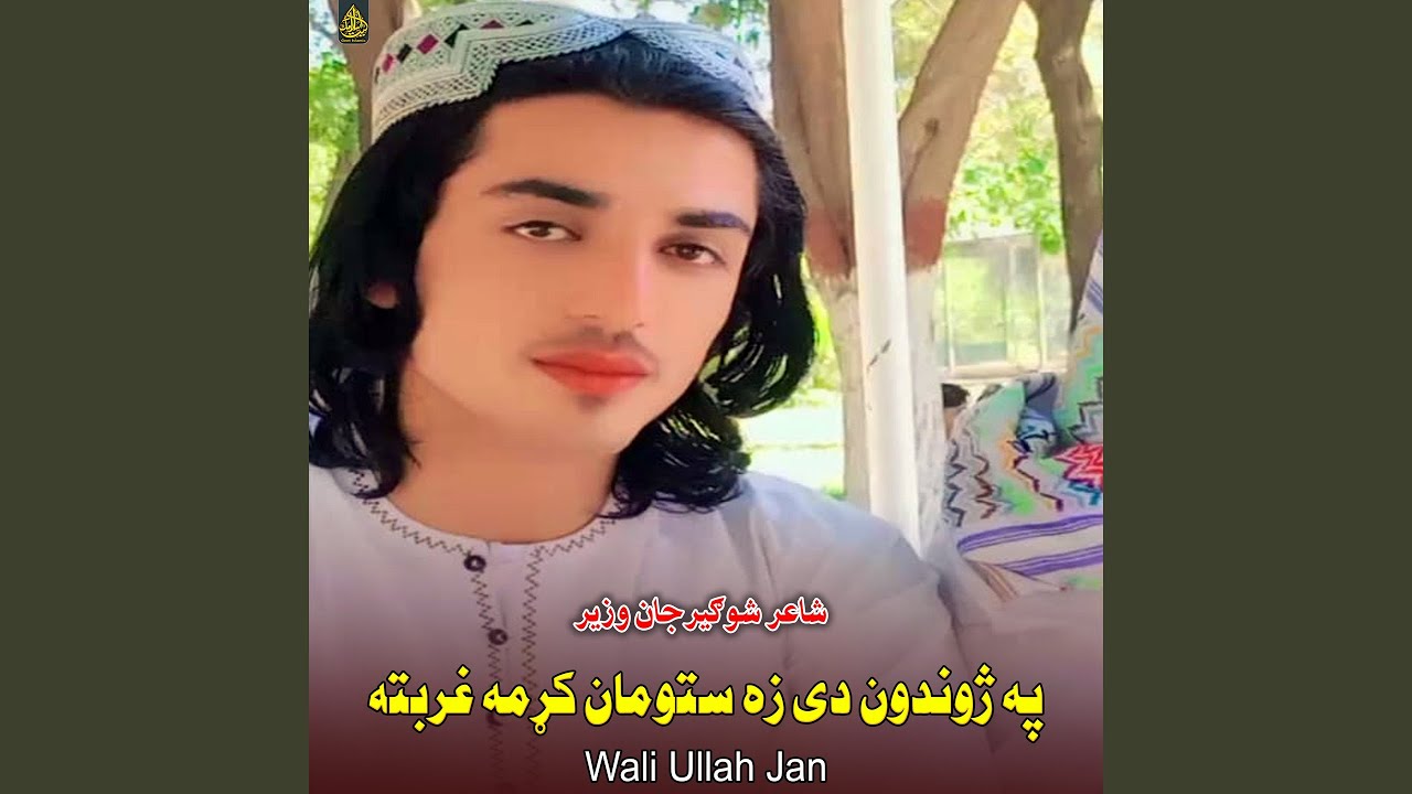 په ژوندون دی زه ستومان کړمه غربته