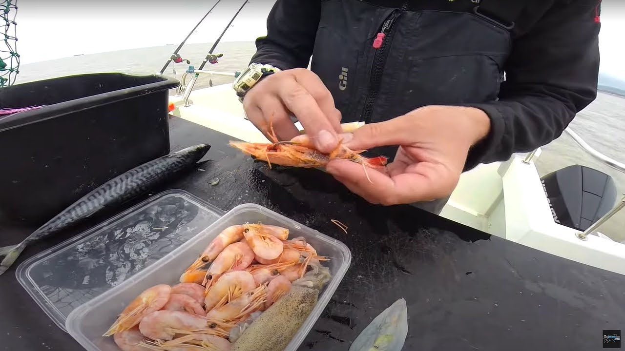 2 Awesome Fishing Baits to Help You Catch More Fish!