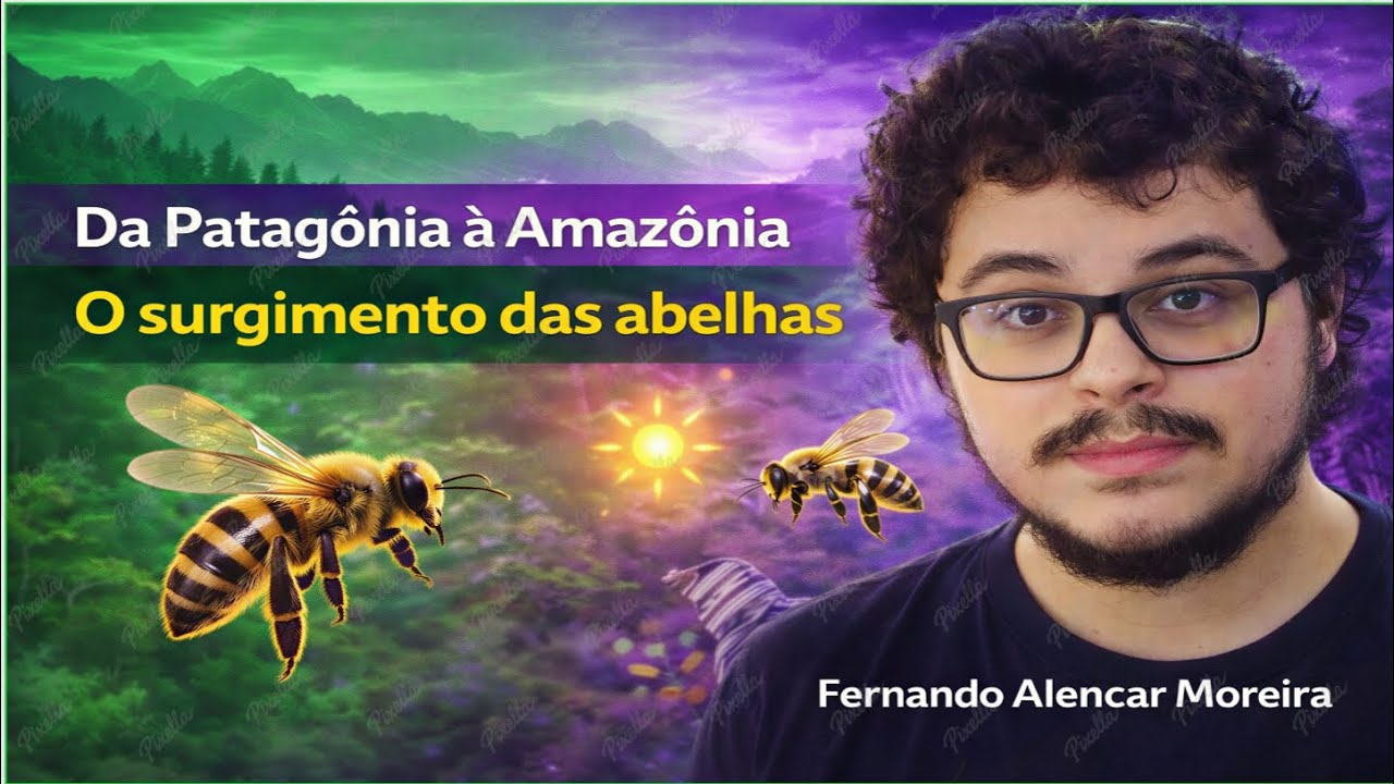 A História Evolutiva das Abelhas | Da Patagônia à Amazônia