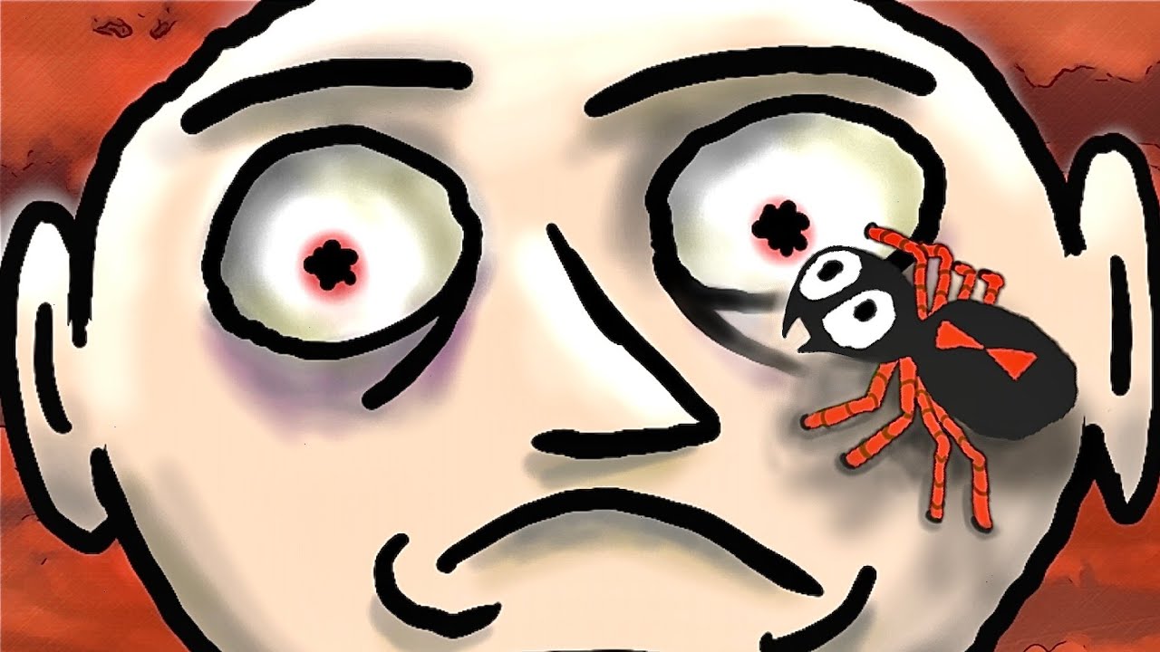 Should You Kill a Spider???