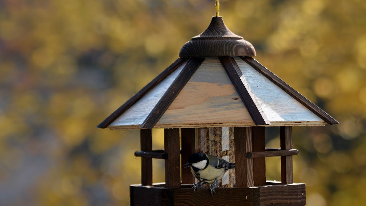 Vogelhaus „Camouflage“ mit Futter-Silo zum Aufhängen, 6-eckig | dobar wildlife 21390 & 21391e