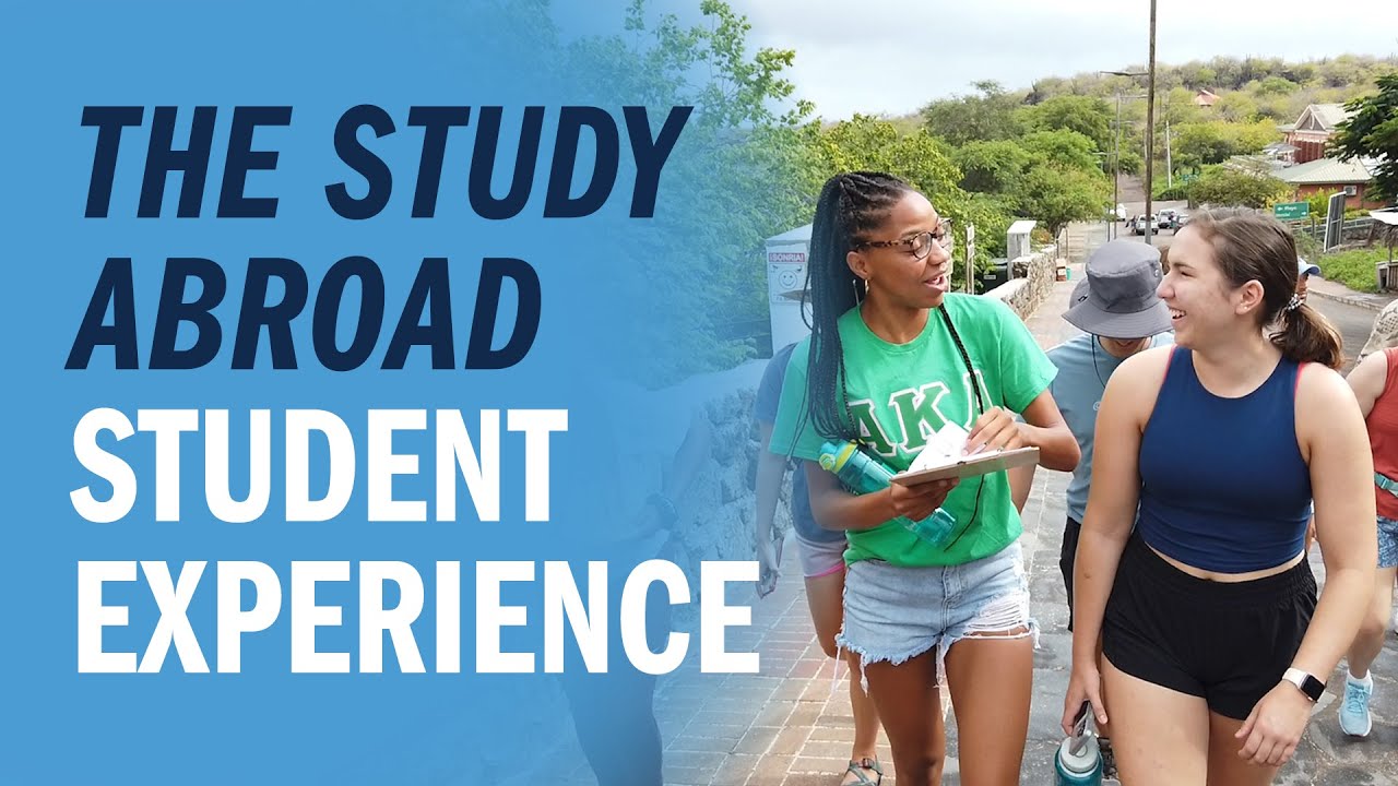 The Study Abroad Student Experience