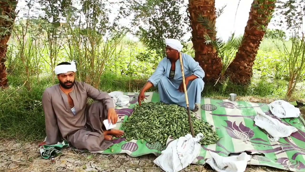 سعيد اتجوز وخلف وابنه بقى طوله ولسه مدفعش ثمن العفشه بتاعته ضحك مش خلصااااان