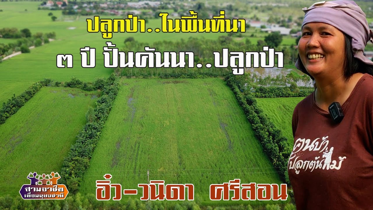 ปลูกป่า..ในพื้นที่นา