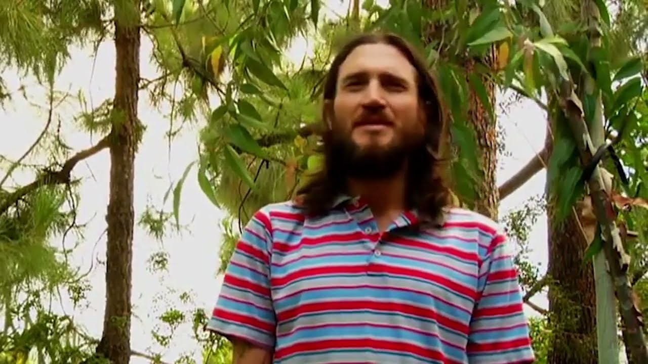 John Frusciante on Creativity (ENHANCED AUDIO)