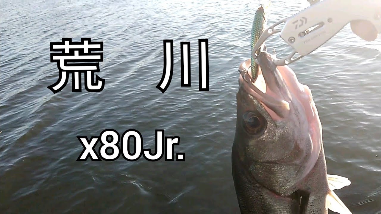 荒川　シーバス調査2021.9.24　x80Jr.でスレたシーバスを釣る