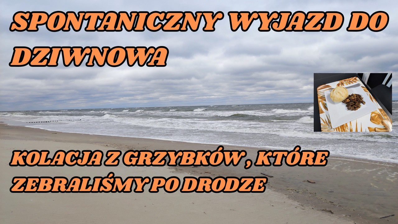 011  DZIWNÓW DZIEŃ PIERWSZY ,DROGA DO DZIWNOWA, ZBIERAMY GRZYBY, APARTAMENT