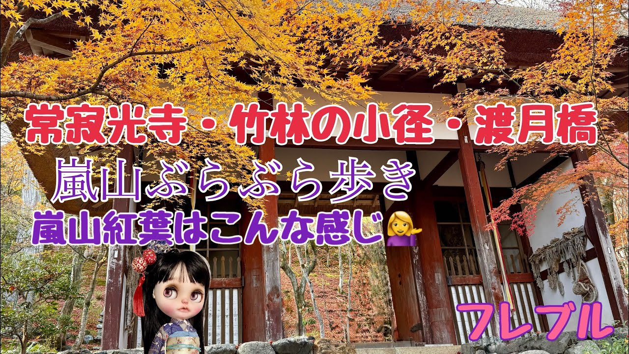 kyoto 【常寂光寺・竹林の小径・渡月橋】 嵐山の紅葉はこんな感じ💁‍♀️です。常寂光寺は、四季折々楽しめ穴場です。2025年12月5日撮影