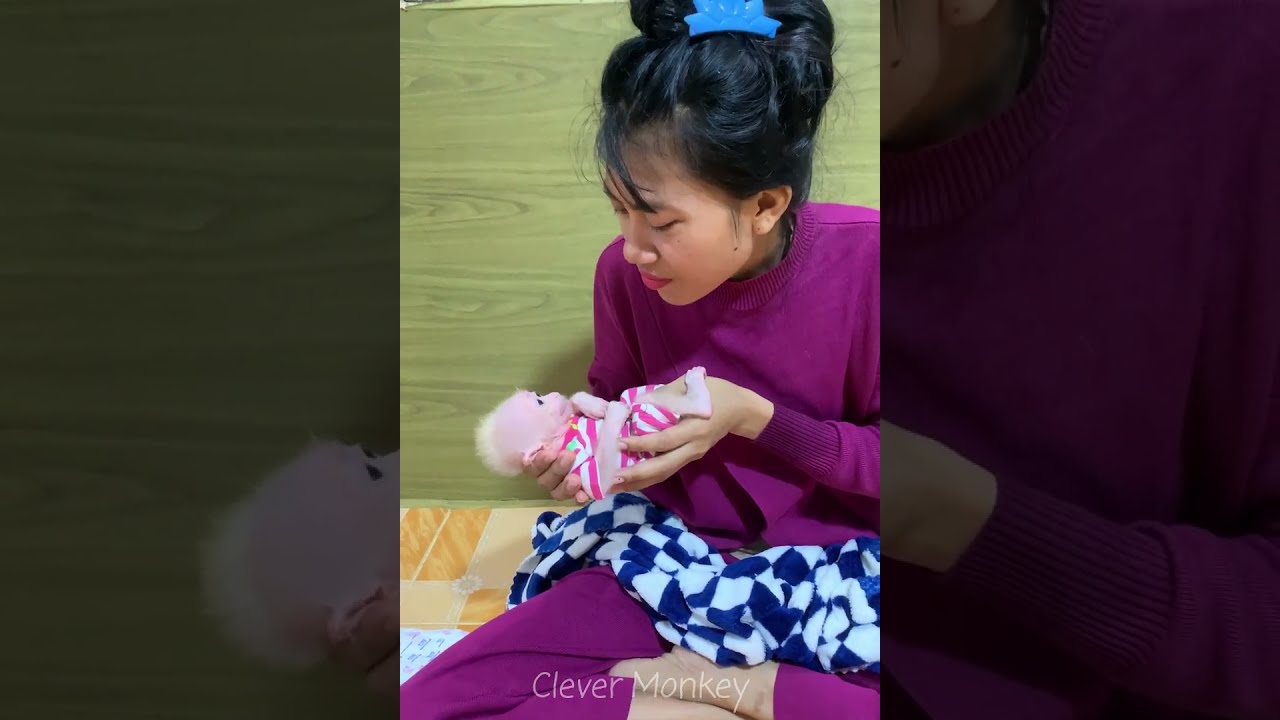So Adorable baby monkey feeling lovely that mummy take care and sharing food to eating delicious