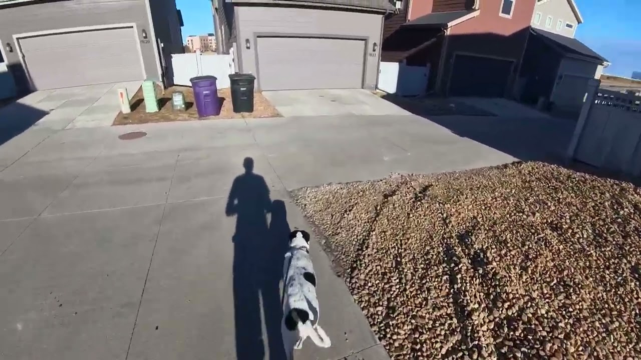 Ramona and Brett Morning Run on Jan. 18, 2026