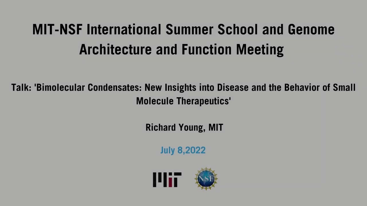 2022 Genome Architecture and Function Meeting:  Richard Young, MIT