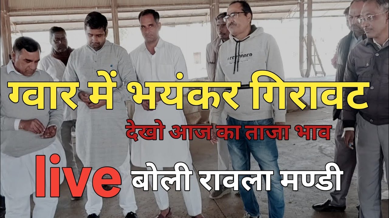 ग्वार में भयंकर गिरावट,aaj ka taaja bhav, Live बोली रावला 04.02.2026