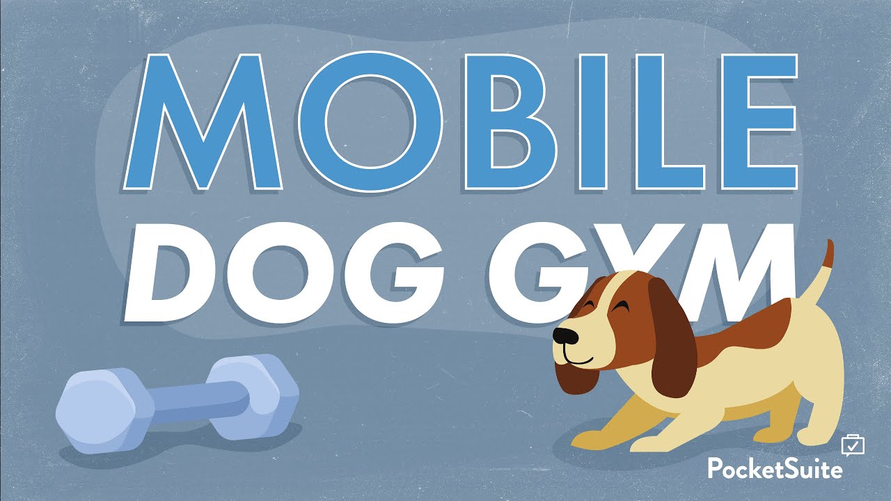 How to Start a Mobile Dog Gym