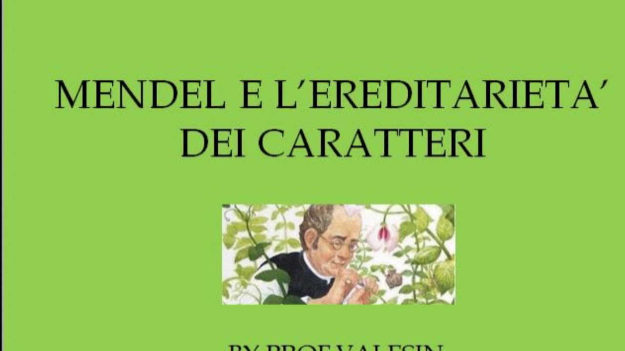 mendel e l'ereditarietà dei caratteri