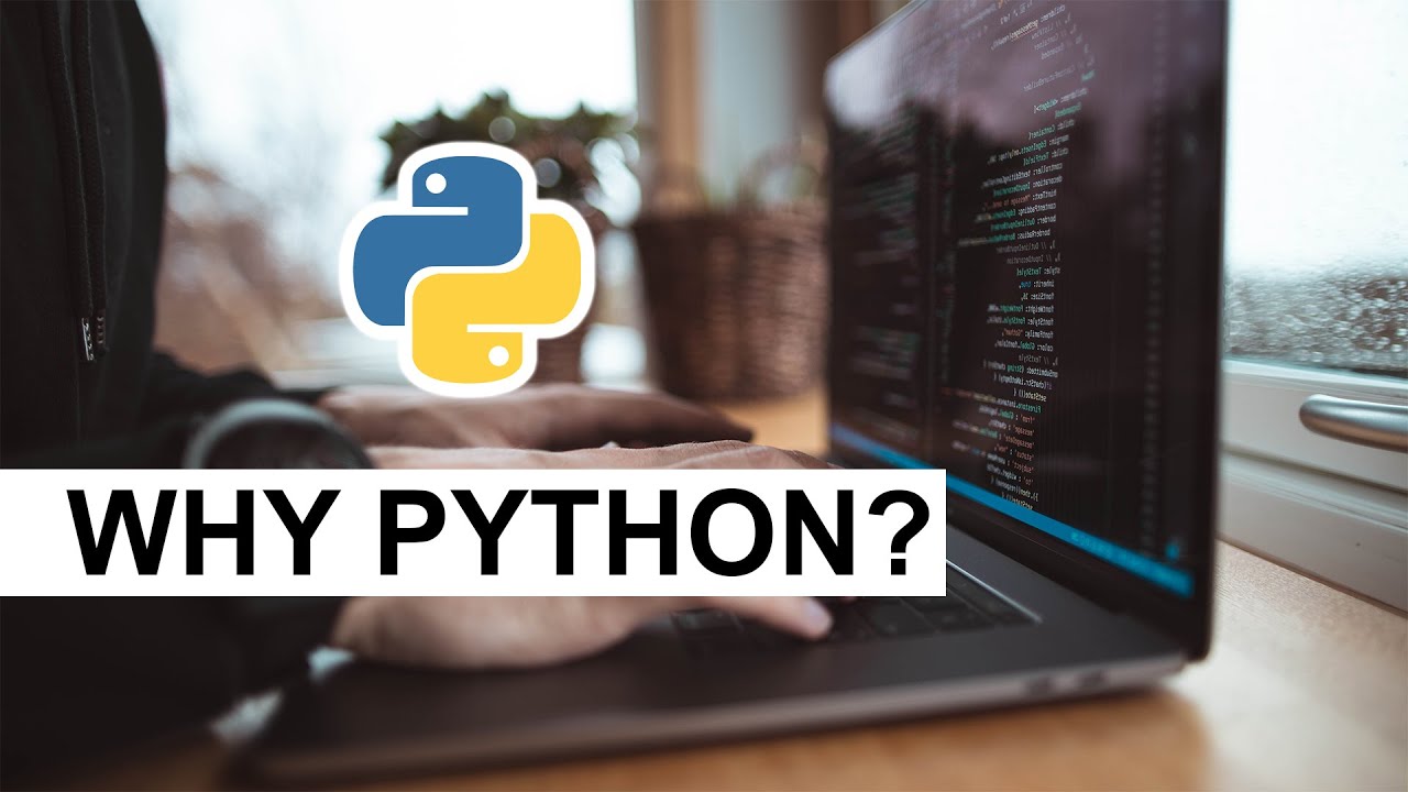 Why People Use Python Even If It&rsquo;s Slow