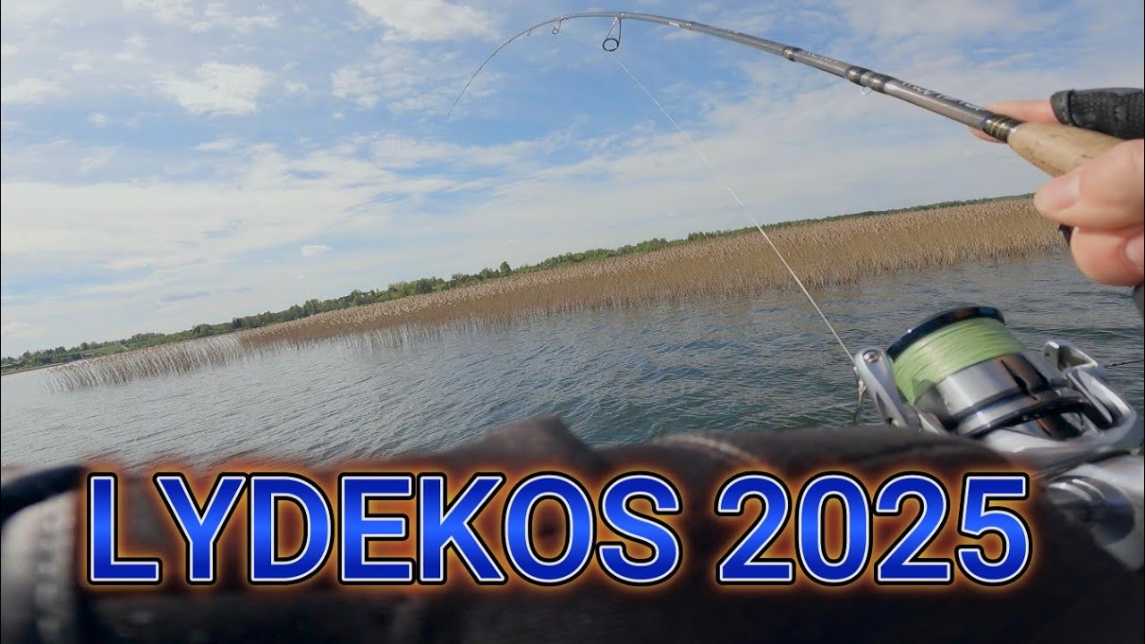 Lydekos 2025 Latviškas pravedimas varė jas iš proto!