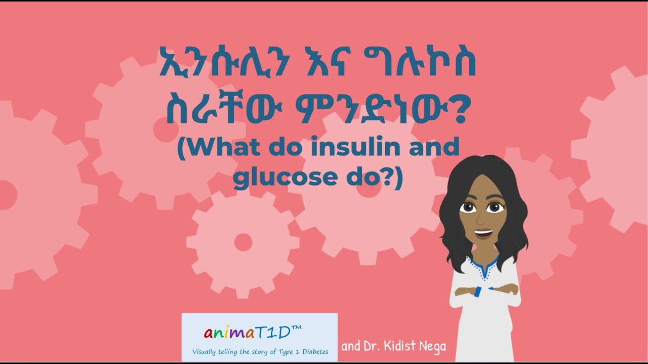 ኢንሱሊን እና ግሉኮስ ስራቸው ምንድነው?  (Amharic: What do insulin and glucose do?)