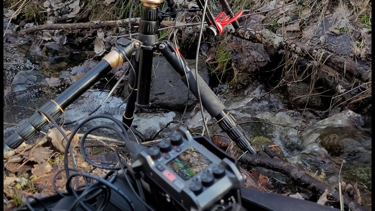 Usual Sounds Slowed Down Pitched Down Extremely. Ultrasonic microphone recording.