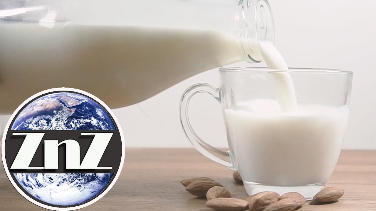 Mleko mogą wytwarzać mikroorganizmy! Krowy przestaną być potrzebne?