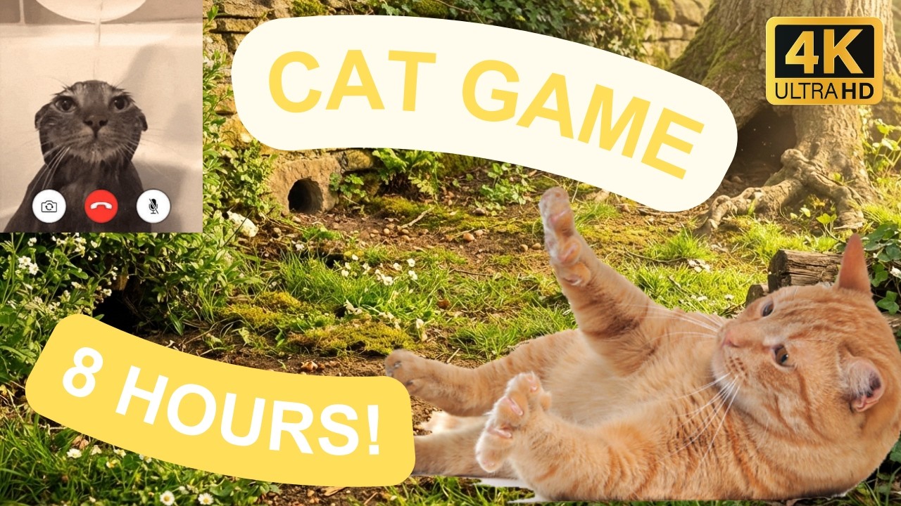 [NO ADS] CAT TV Game 🐾 Spot Mice, Chipmunks & Sparrows! 😻Relaxing Garden Game for Cats! 4K 8 Hours 