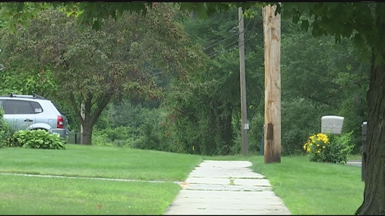 Living with wildlife in Massachusetts