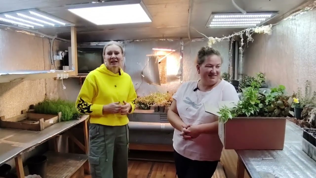 Как мы обустроили подвал для растений своими руками! Опыт и советы Ани и Валентины