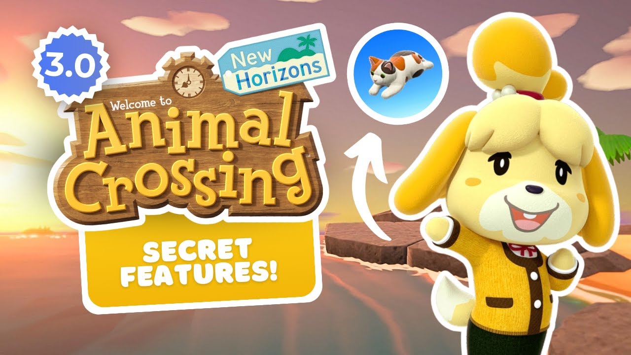What They DIDN'T Tell Us About the Animal Crossing 3.0 Update! 😱| Wish I Knew 📖