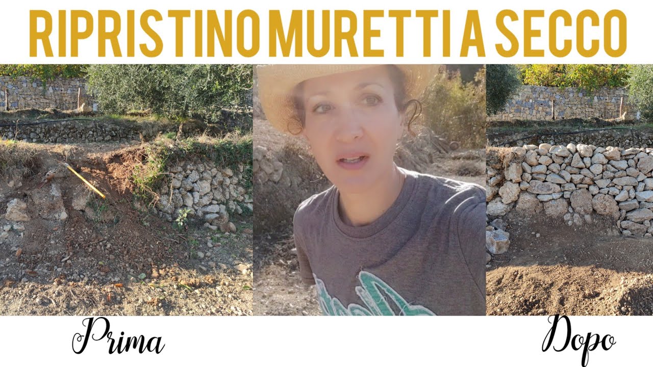 Come ripristiniamo MURETTI A SECCO massacrati dai cinghiali in Liguria di Ponente ⭐ EPISODIO #1