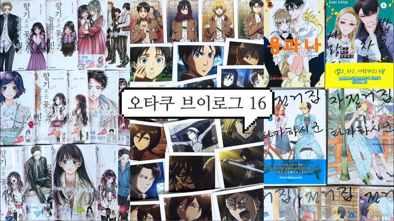 [16] 만화책 전권과 파샤코레 특장판 언박싱🎀_향기로운 꽃은 늠름하게 핀다|진격의 거인 파샤코레|밟고, 차고, 사랑하고 특장판|자전거집 타카하시 군|용과 나 [오타쿠 브이로그]
