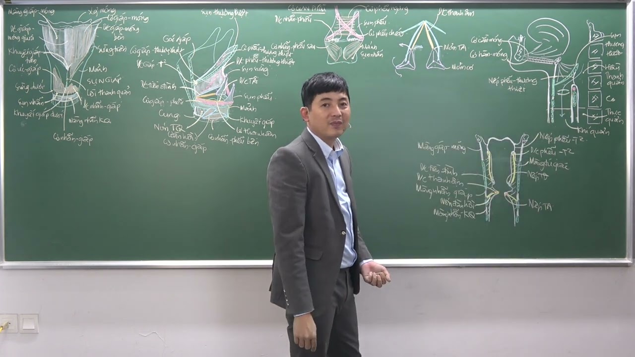 ĐẦU-MẶT-CỔ: THANH QUẢN - (4) HÌNH THỂ TRONG