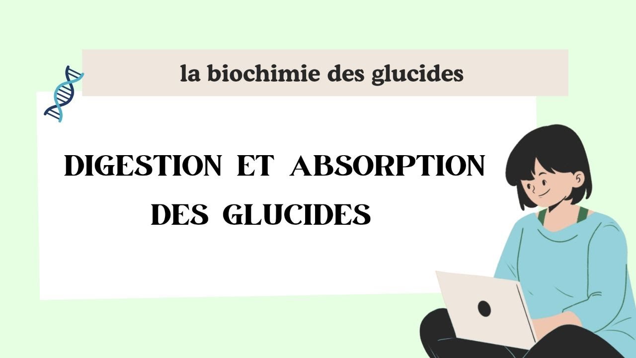DIGESTION ET ABSORPTION DES GLUCIDES 1er année médecine