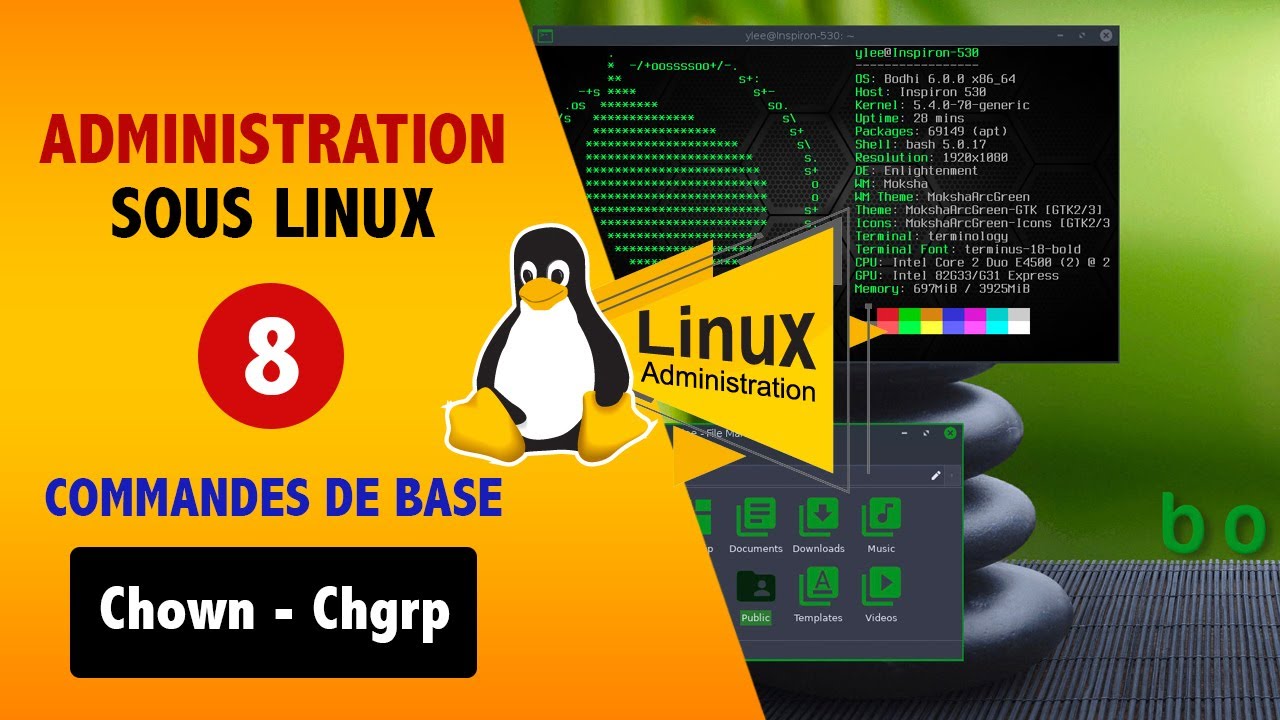 Ep 8: Commandes de base Linux | Gestion des droits : chown et chgrp