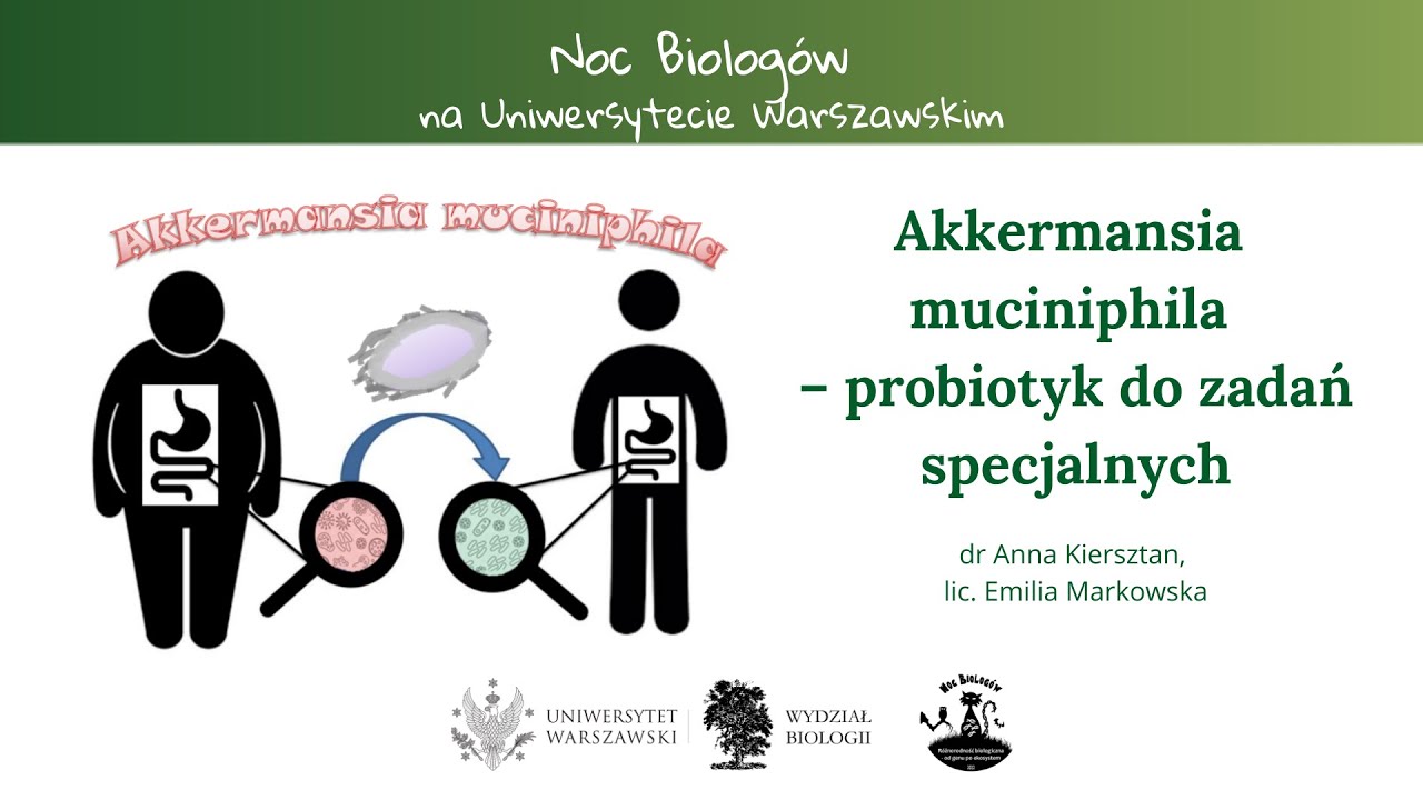 Akkermansia muciniphila  probiotyk do zadań specjalnych