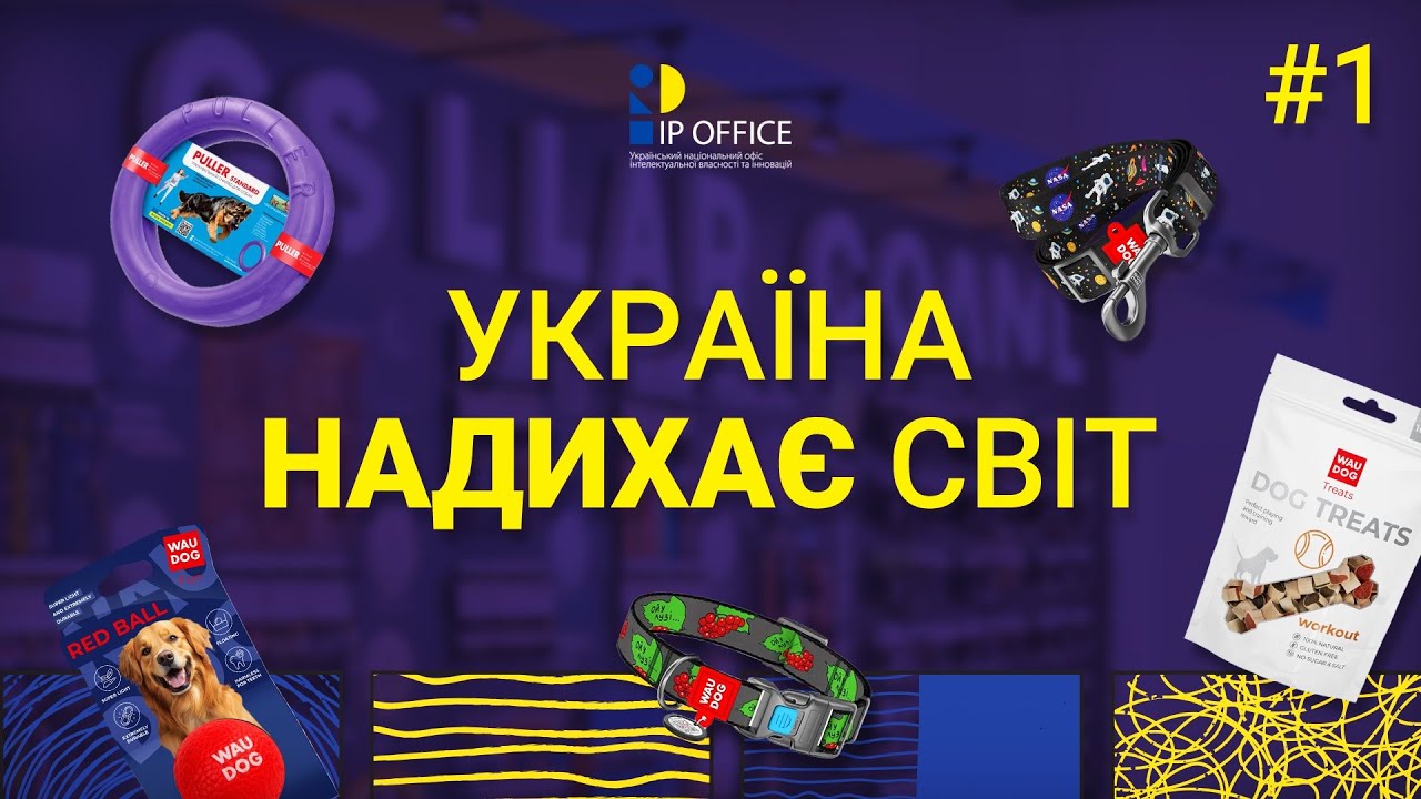 🐕‍🦺 Як бренд товарів для тварин COLLAR виріс із хрущовки у Чернігові до колаборації з NASA