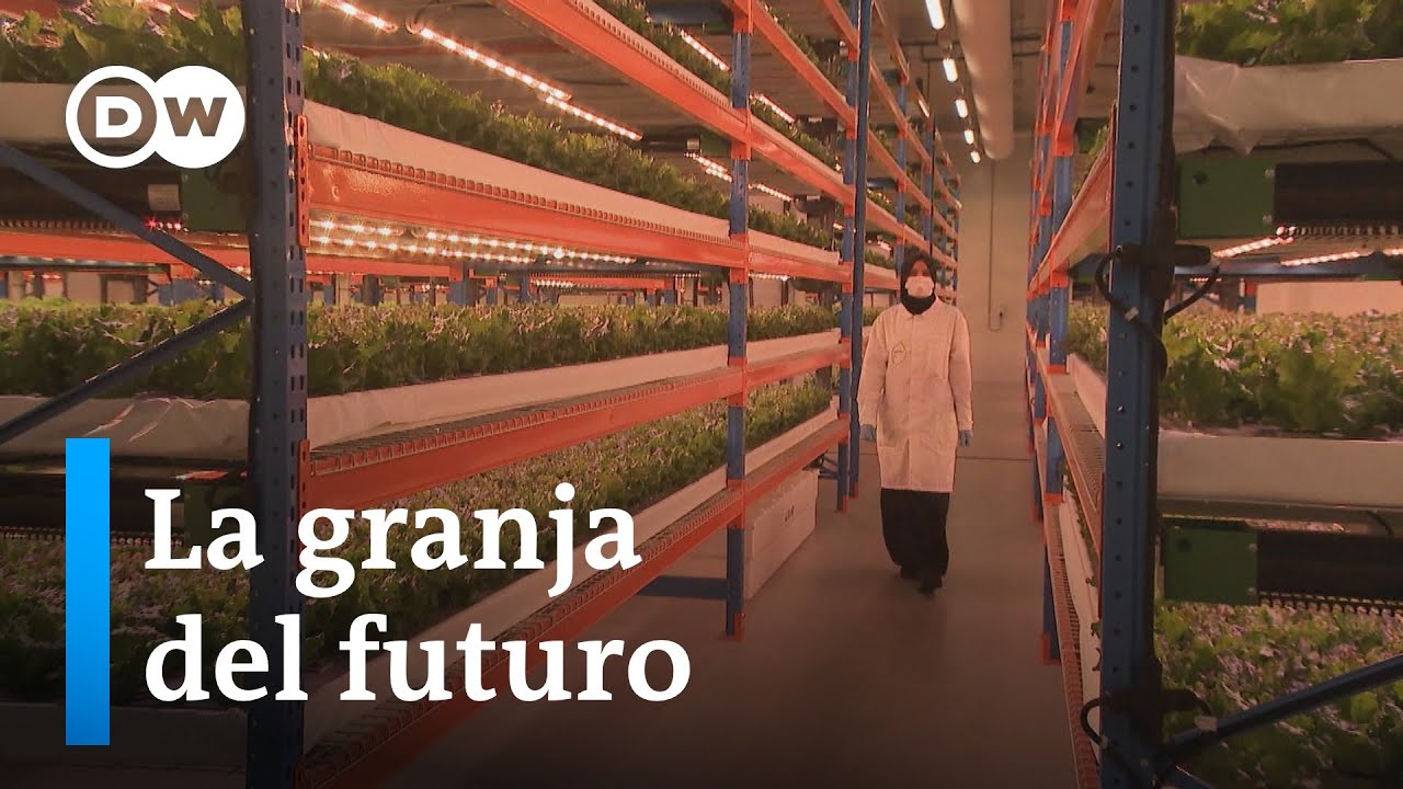 Agricultura vertical revolucionaria en Dubai