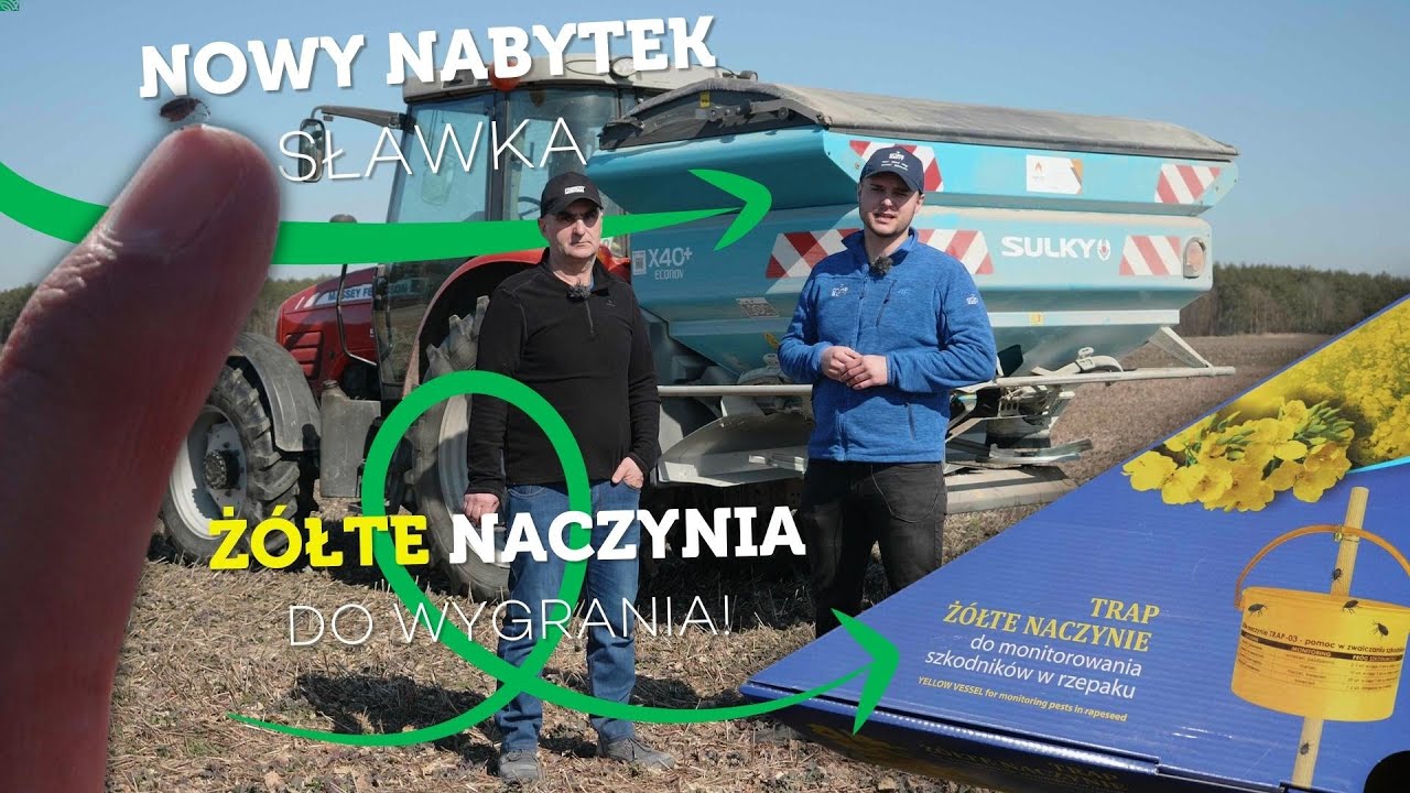 RZEPAK W 2022 NA 4-6 KLASIE - STRATEGIA OCHRONY I NAWOŻENIA W TRUDNYCH CZASACH - #211 nawozy nonstop