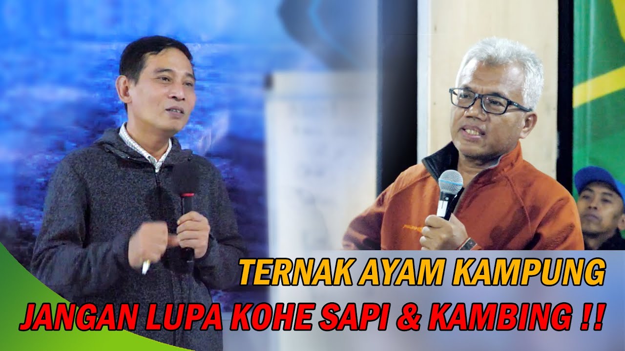MANFAAT KOHE SAPI DAN KAMBING UNTUK ALAS KANDANG #bayudiningrat #bayusehatmandiri #pelatihanbsm A6