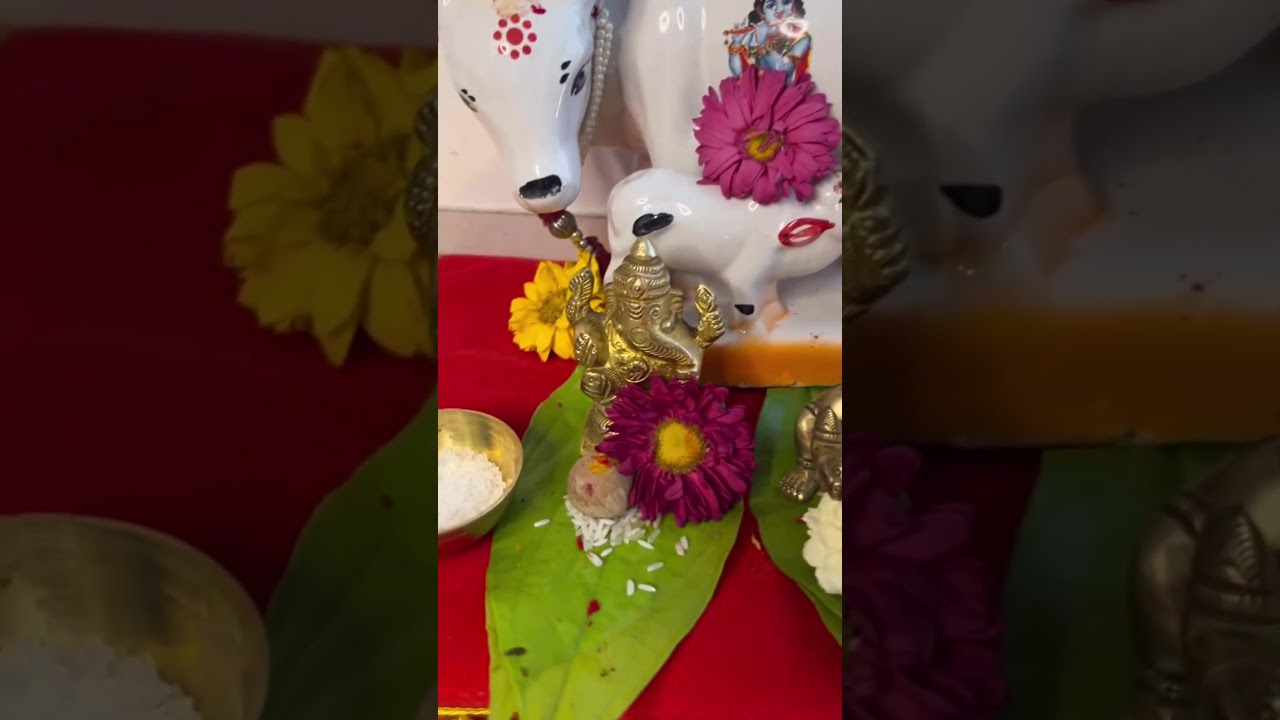GoMata Pooja🙏￼