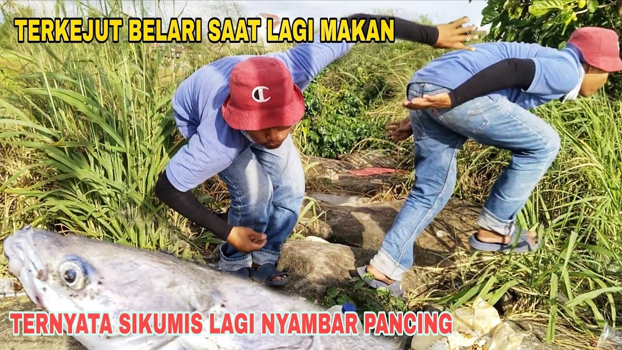 TERKEJUT BELARI SAAT LAGI MAKAN,,!! TERNYATA SIKUMIS LAGI NYAMBAR PANCING KU