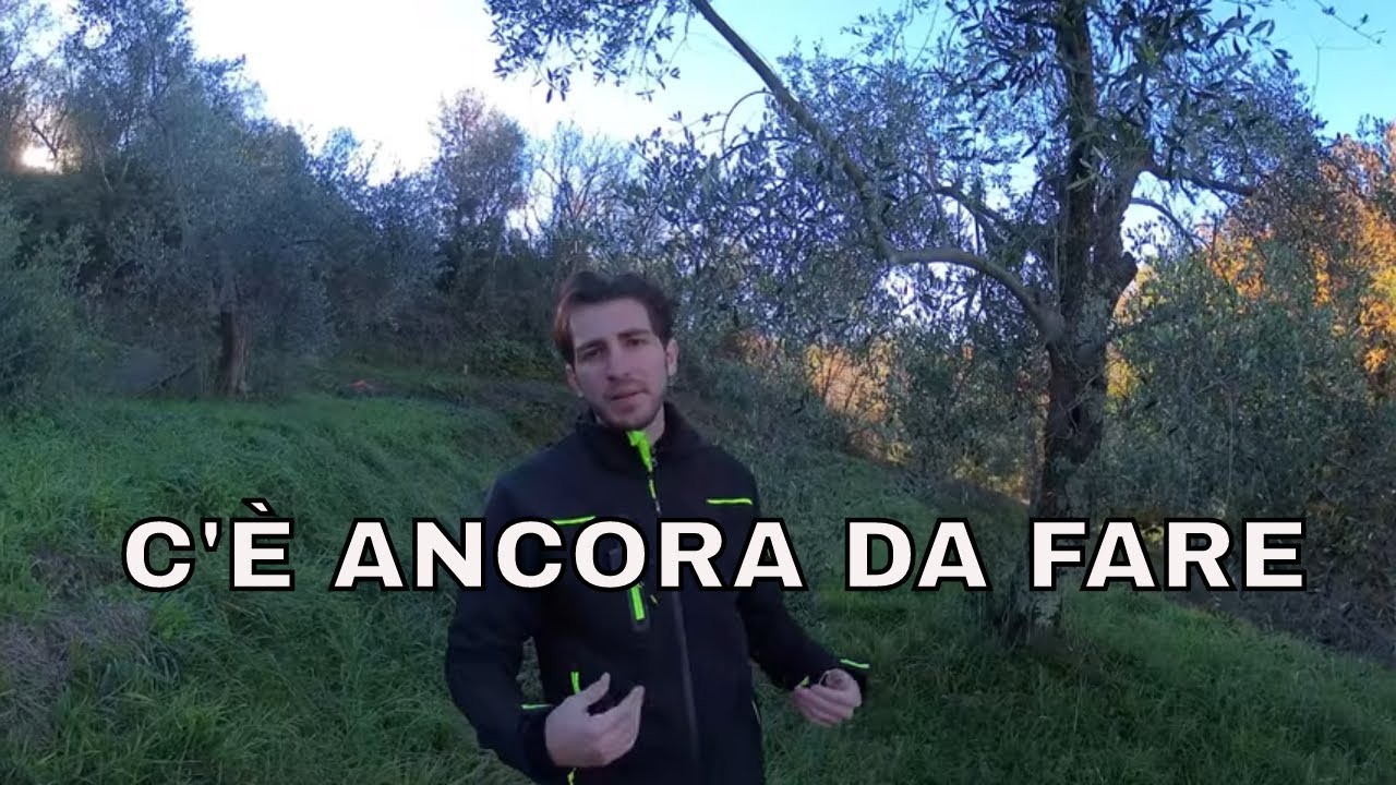 Torniamo in oliveto!Progetto oliveto da abbandonato a produttivo ep.10
