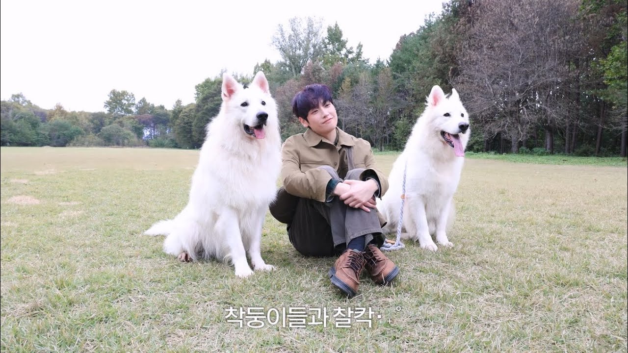 Mute OFF, 심장 ON 🫀 | IN SEONG 'Mute is Off' MV BEHIND