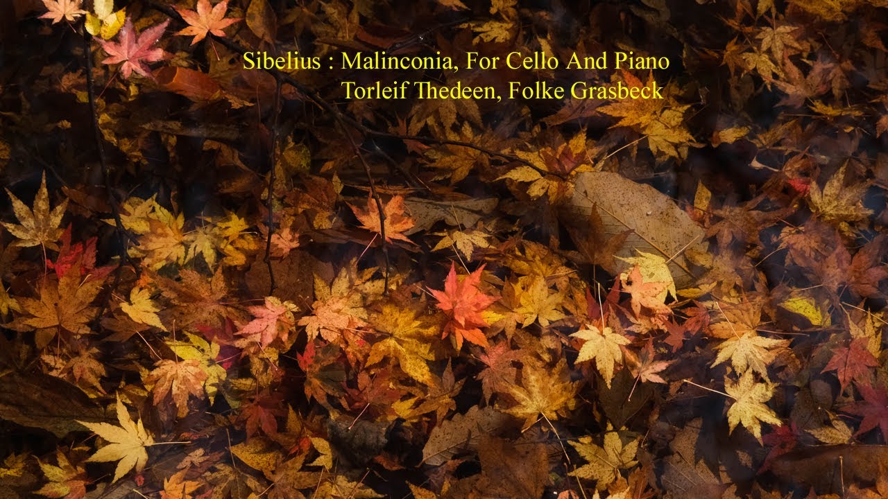 Sibelius : Malinconia, For Cello And Piano