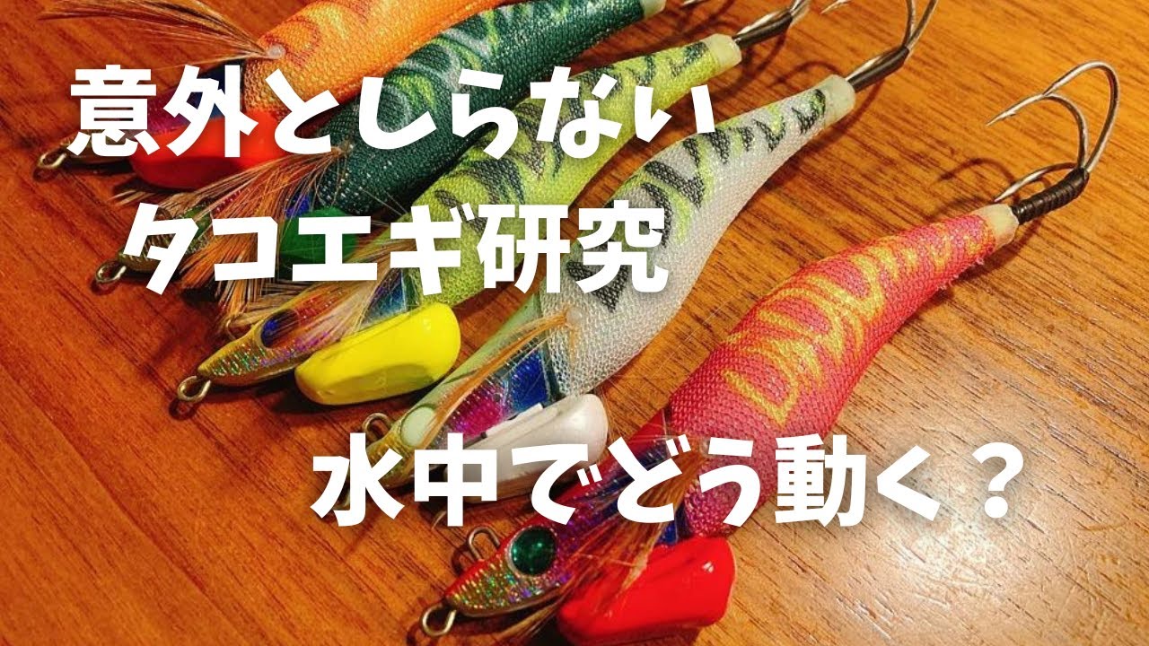 【エギタコ研究】タコエギって水中でどう動いてんの？