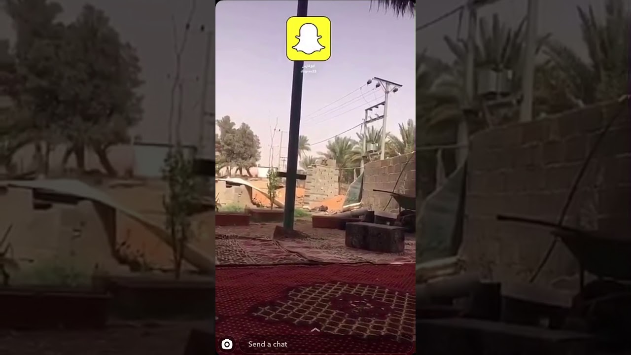 قصة أمي والفنانين